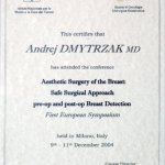 2004 Certyfikat uczestnictwa w konferencji