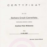 2007 Certyfikat ukończenia szkolenia z zakresu: Analiza Pola Widzenia