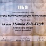 2003 Opracowanie filarów zębowych pod koronę estetyczną