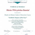 2012 Course - Aestetic Surgery of the Face