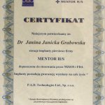 2000 Mentor H/S certyfikat
