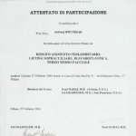 2004 Certyfikat uczestnictwa w kursie