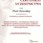 2008 Certyfikat