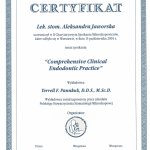 2005 Comprehesive Clinical Endodontic Practice
