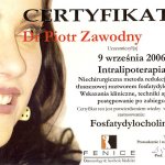 2006 Certyfikat
