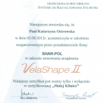 2012 Certyfikat ukończenia kursu obsługi systemu do kształtowania sylwetki