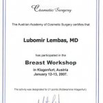 2007 Breast Workshop