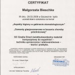 2008 Certyfikat uczestnictwa w szkoleniu