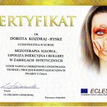 2013 Dorota Kozdraj-Ryske - Eclest