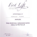 2013 First Lift