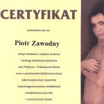 2006 Certyfikat
