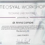2013 Teosyal Workshop - ukończenie szkolenia