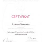 2009 Agnieszka Bliżanowska - kurs: hydroksyapatyt wapnia