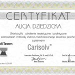 1999 Szkolenie Carisolv