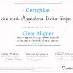 2011 Clear Aligner