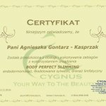 2010 Obsługa urządzenia Body Perfect Slimming
