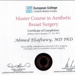 2017 Aesthetic Breast Surgery