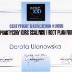 2004 Ukończenie kursu pt.: Praktyczny kurs scalingu i root planingu