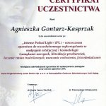2008 Kurs IPL