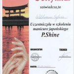 2009 szkolenie: manicure japońskiego P.Shine