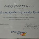 2003 Odbudowa metodą bezpośrednią oraz pośrednią w stomatologii zachowawczej