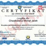 2010 Śląska Konferencja Medycyny Estetycznej