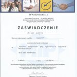 2010 Uczestnictwo w kursie pt.: Kliniczne postępowanie przy wykonawstwie uzupełnień całoceramicznych