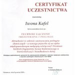 2009 Certyfikat za uczestnictwo w kursie pt.: Techniki łączone (mezoterapia i peelingi)
