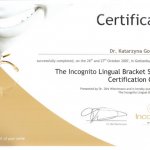 2007 The Incognito Lingual Bracket System Certification Course
