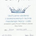 2012 Certyfikat ukończenia szkolenia