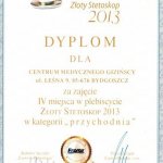 2013 Dyplom dla Centrum Medycznego Gizińscy za zajęcie IV miejsca w plebiscycie 
