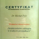 2004 Warsztat praktyczny Michał Pelc
