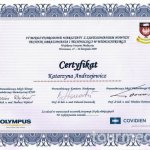 2009 Certyfikat za udział w IV Międzynarodowych Warsztatach z Zastosowaniem Nowych Technik Obrazowania i Technologii w Wideochirurgii
