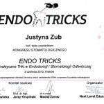 2012 ENDO TRICKS