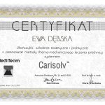 1999 Carisolv
