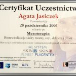 2006 Uczestnictwo w kursie pt.: Mezoterapia