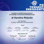 2010 Członek Polskiego Towarzystwa Endodontycznego