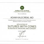 2013 Sutures with Cones
