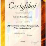 2008 Opracowanie kanałów korzeniowych
