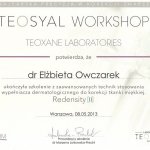 2013 Wypełniacze dermatologiczne