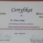 2013 Certyfikat potwierdzający ukończenie szkolenia