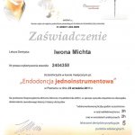 2011 Certyfikat uczestnictwa w kursie 